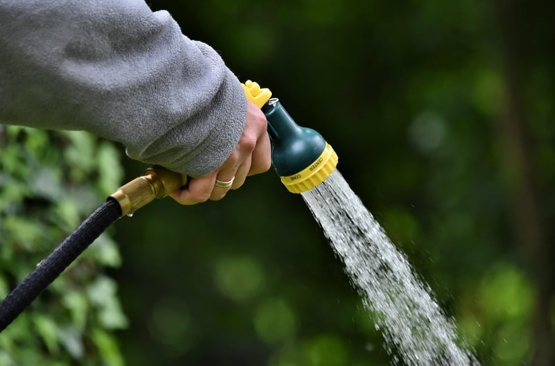 Gardening tools guide