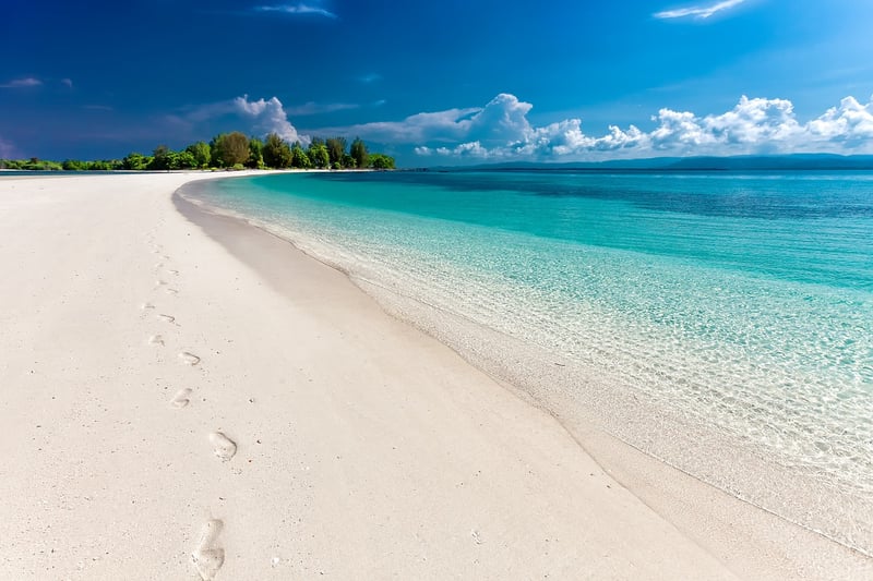 Summer Beach Image