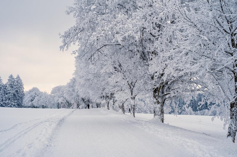 Winter Wonderland Image